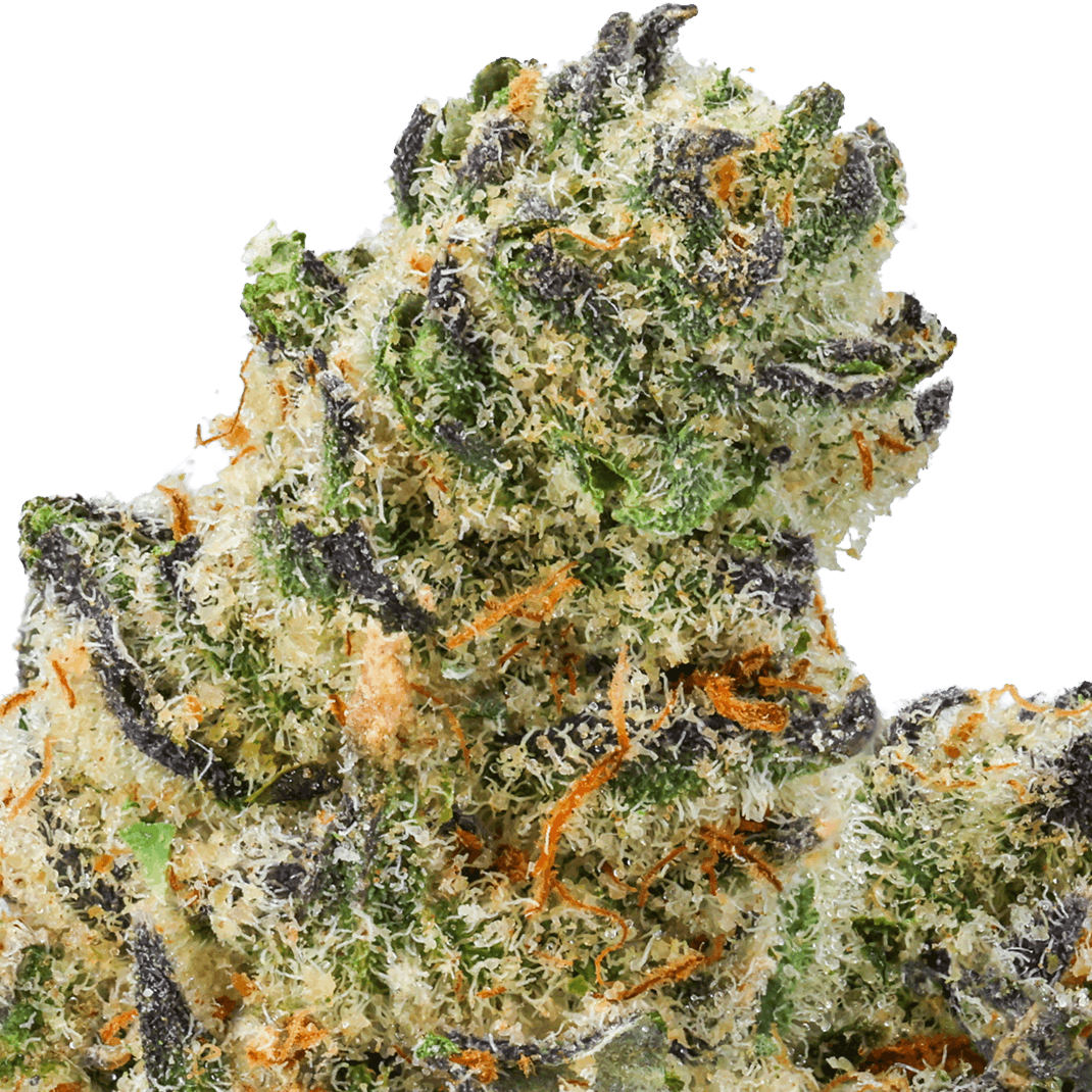 Tangie Strain