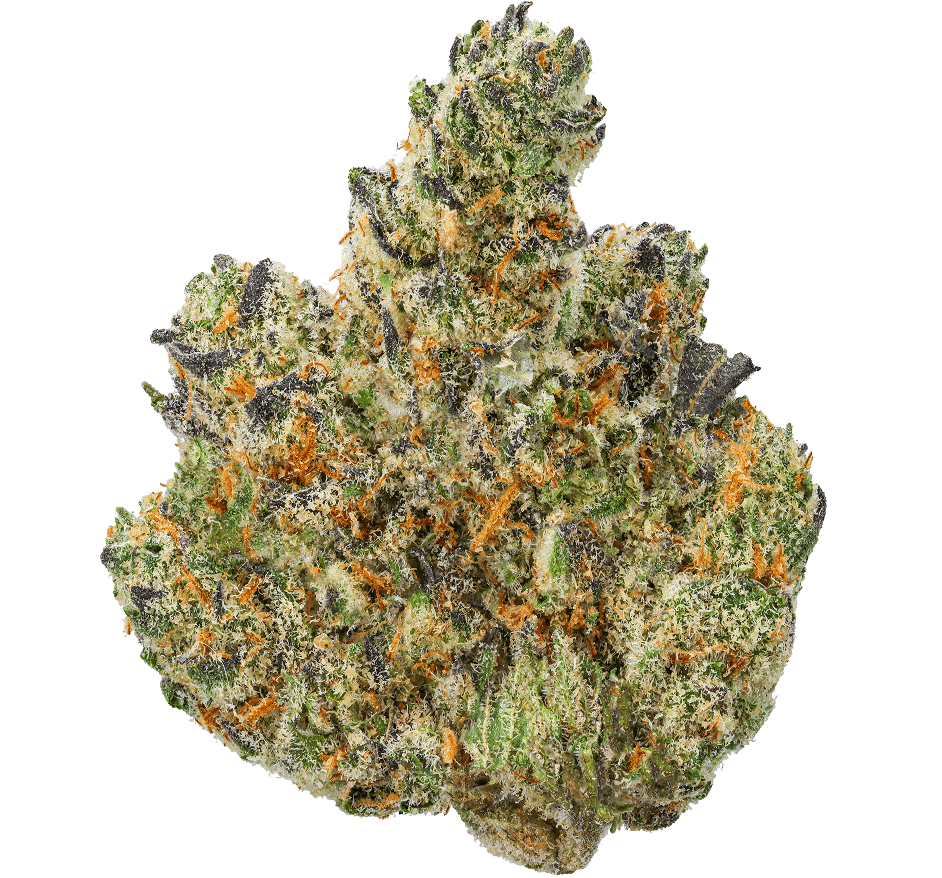 Tangie Strain