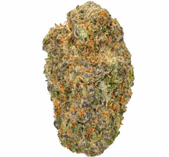 Toronja Strain