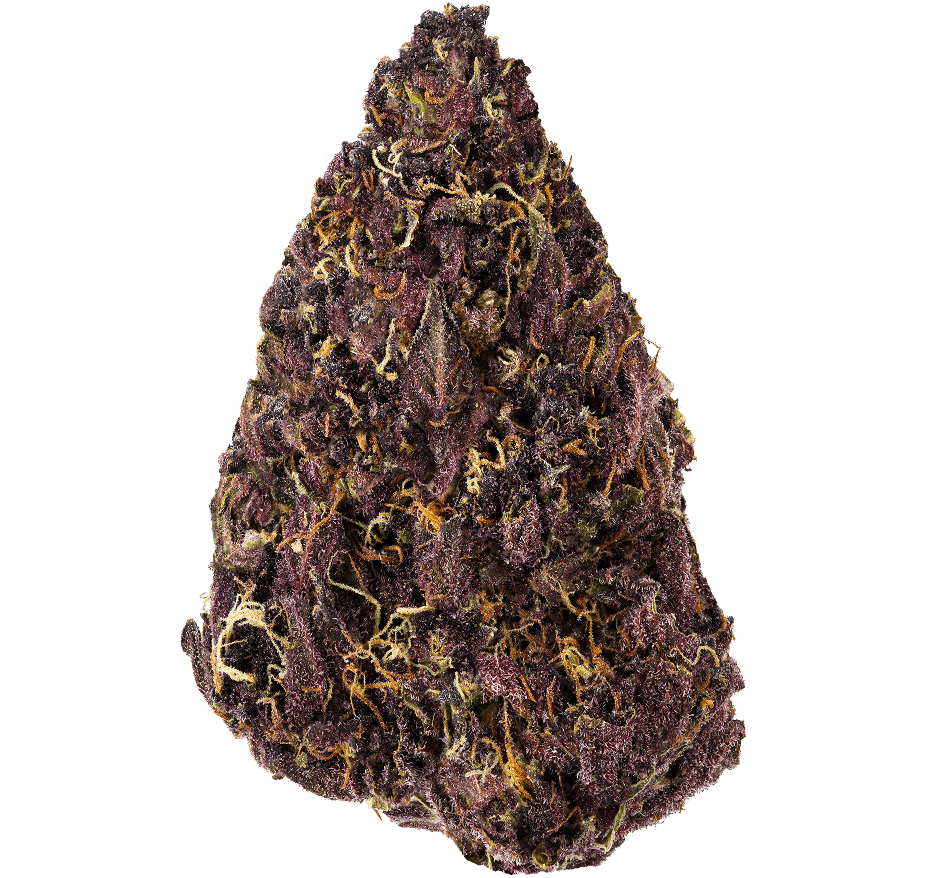 Tropical Cookies Strain
