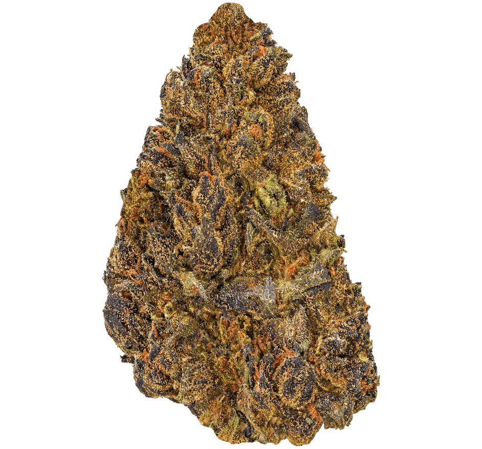 White-Runtz-Strain (1) White Runtz Strain