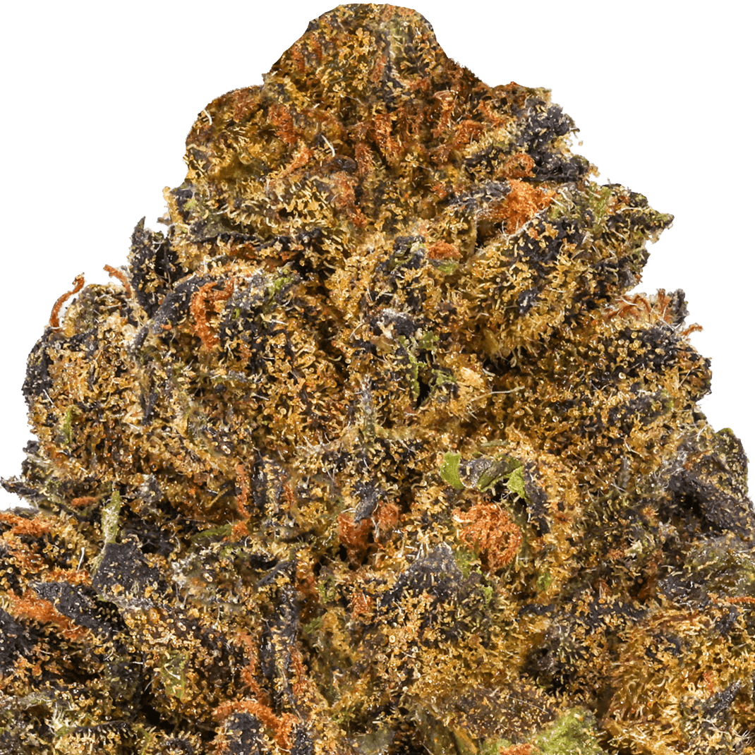 White-Runtz-Strain-Macro (1) White Runtz Strain