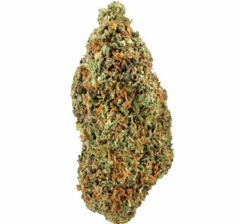 Yellow Cake Strain