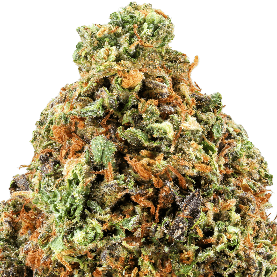 Yellow Cake Strain