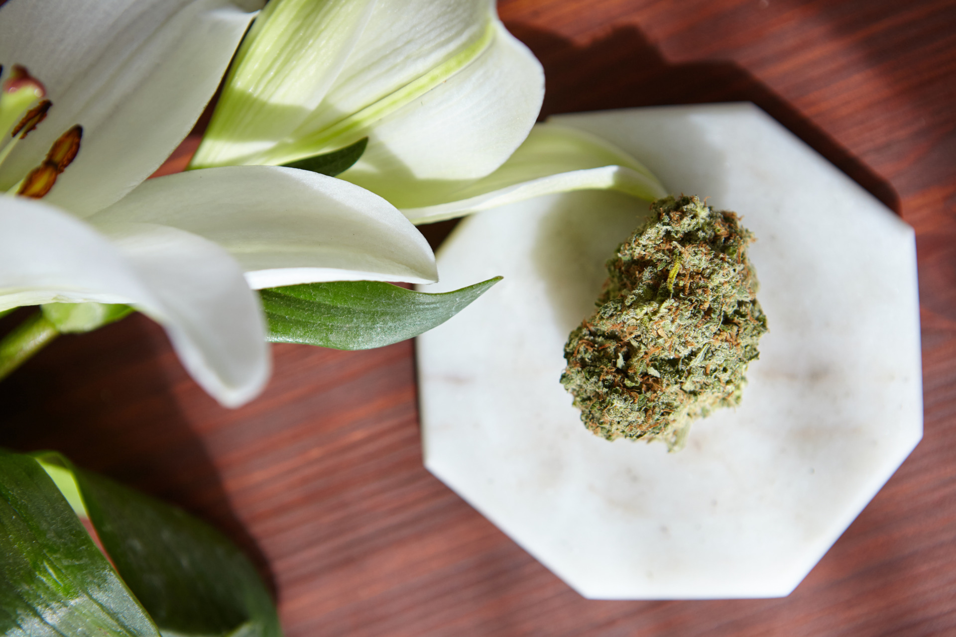 A high-angle close-up shot of a piece of THCA flower for beginners.