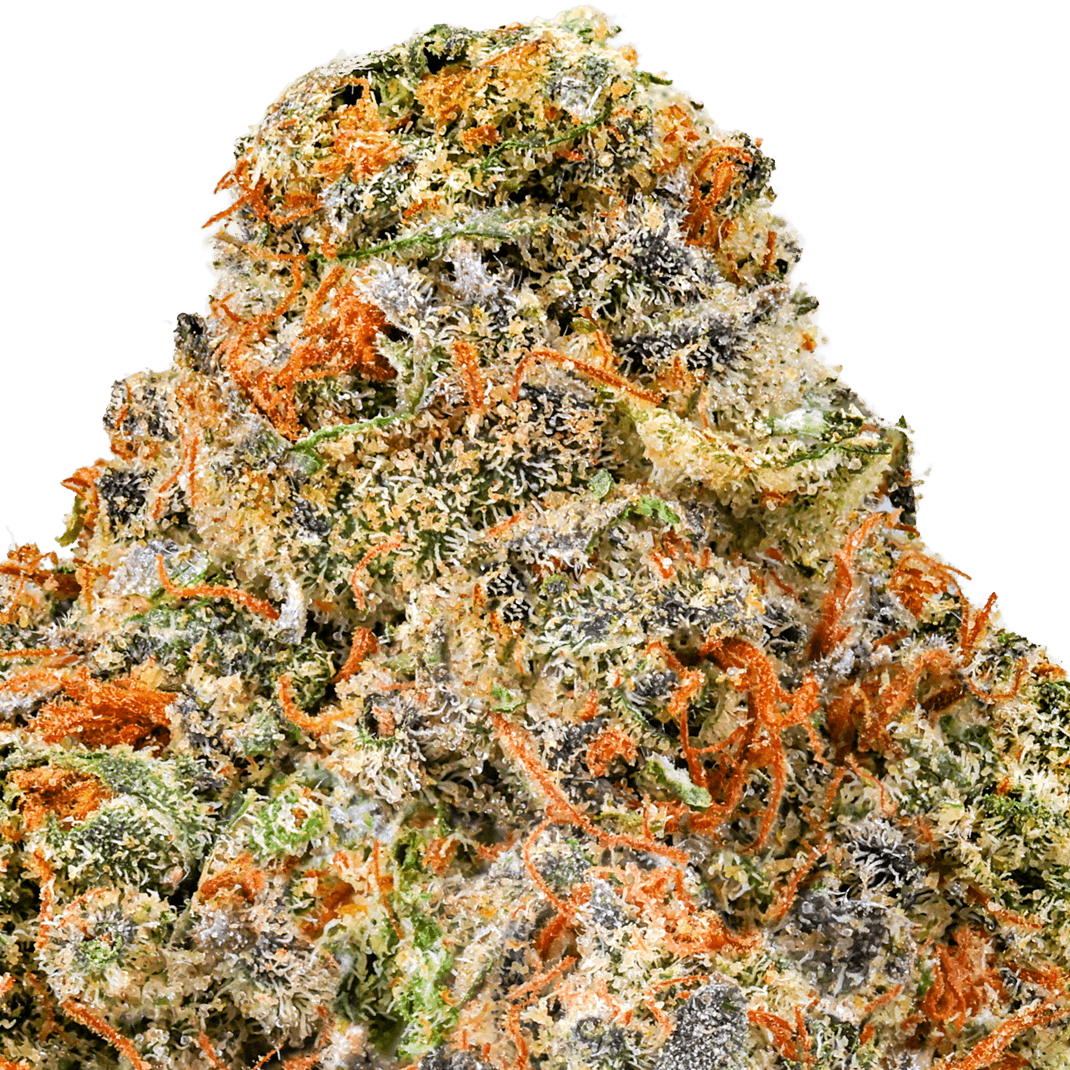 Big Gorilla MAC Strain