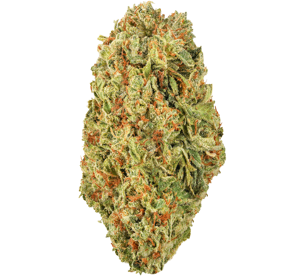 Blue Dream Strain