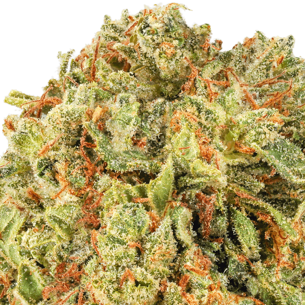 Blue Dream Strain