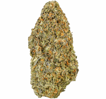 Blue Mochi Strain