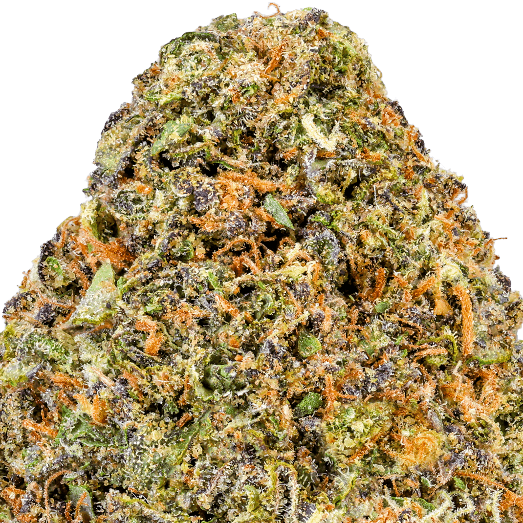 Blue-Mochi-Strain-Macro (1) Blue Mochi Strain