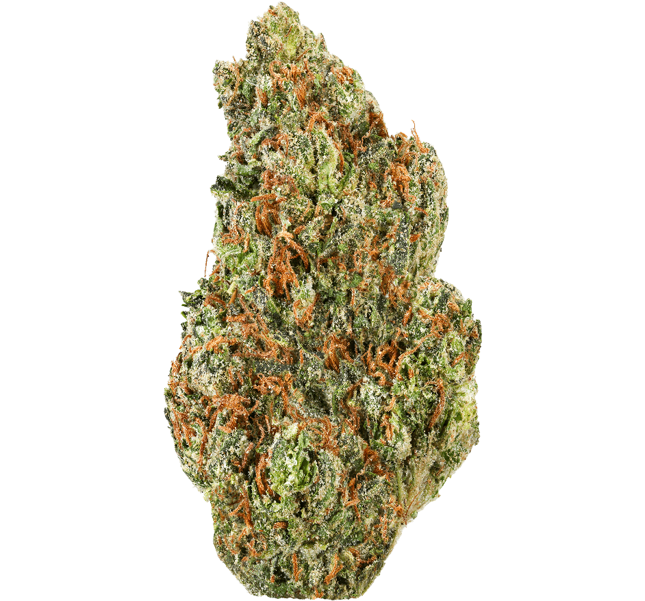 Cherry Cake Strain