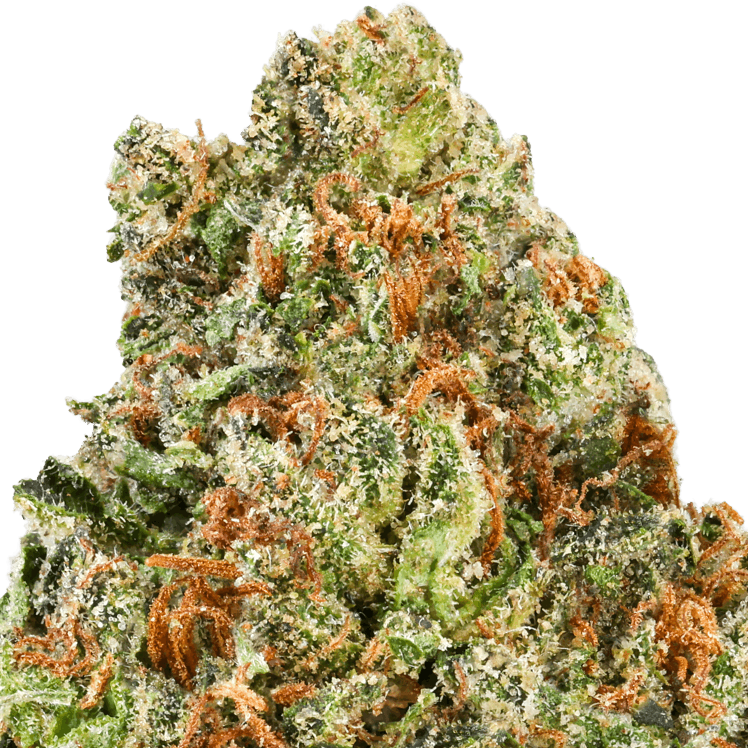 Cherry Cake Strain