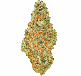 Cherry-Punch-Strain Cherry Punch Strain