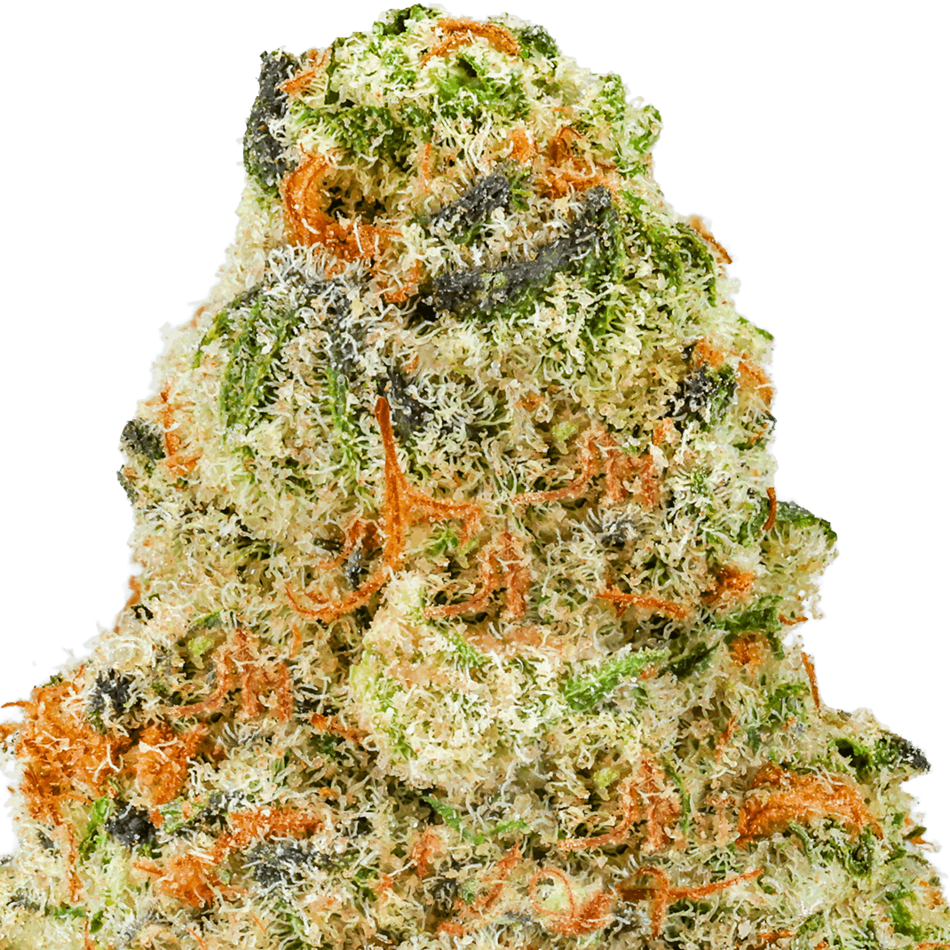 Cherry-Punch-Strain-Macro Cherry Punch Strain