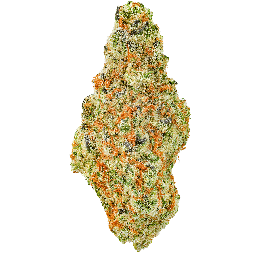 Cherry-Punch-Strain Cherry Punch Strain