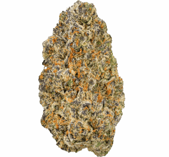 Cotton-Candy-Cookies-Strain (2) Cotton Candy Cookies Strain