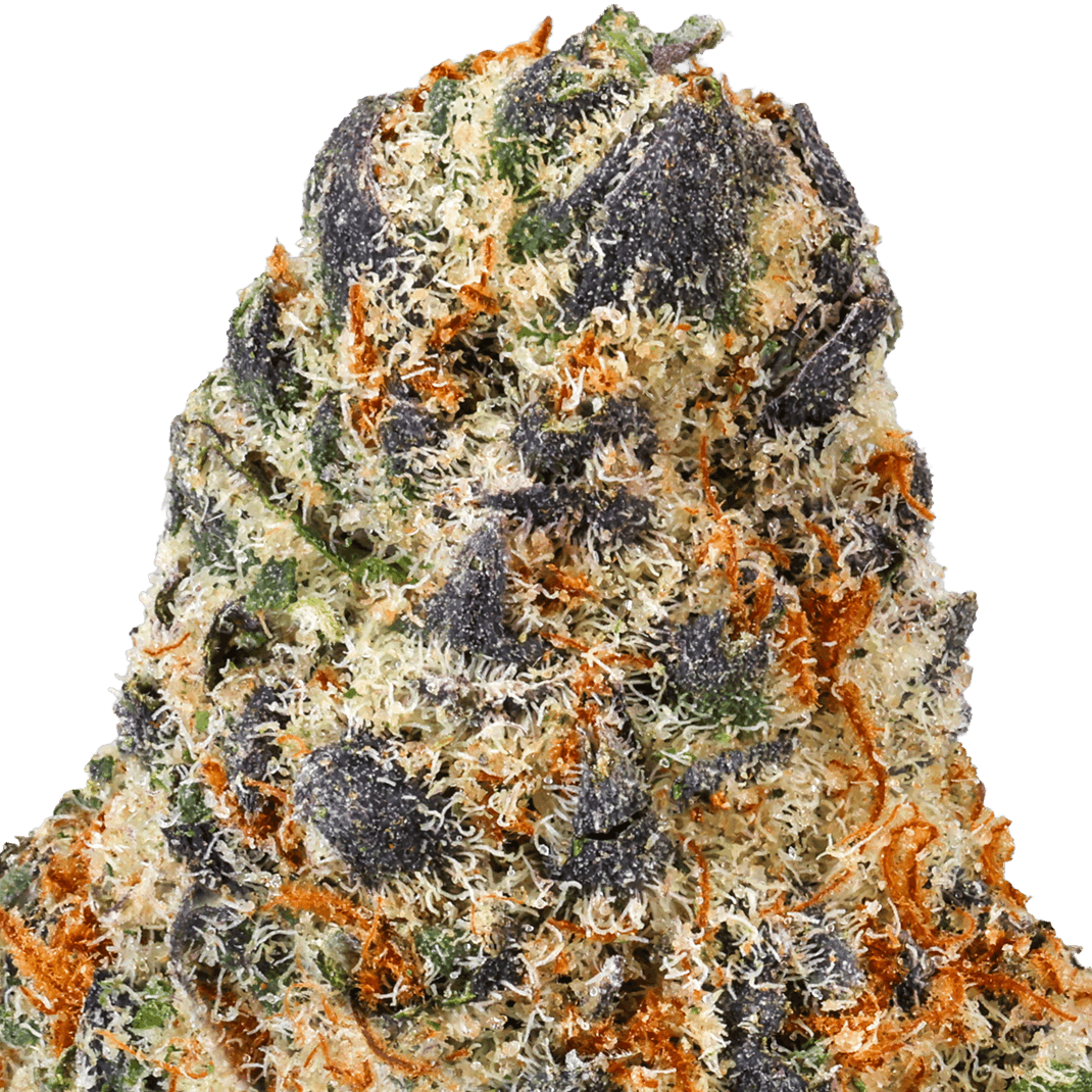 Dantes Inferno Strain