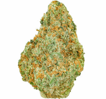 Donny-Burger-Strain (1) Donny Burger Strain