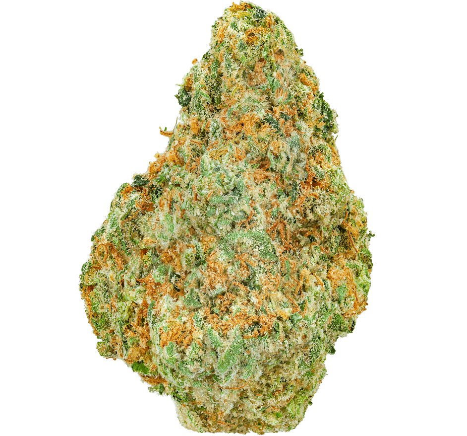 Donny Burger Strain