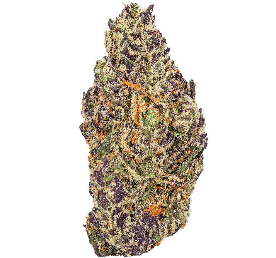Dutch Treat Strain