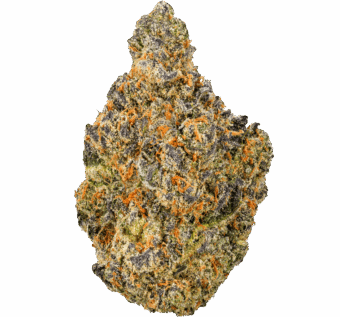Gary Peyton Strain