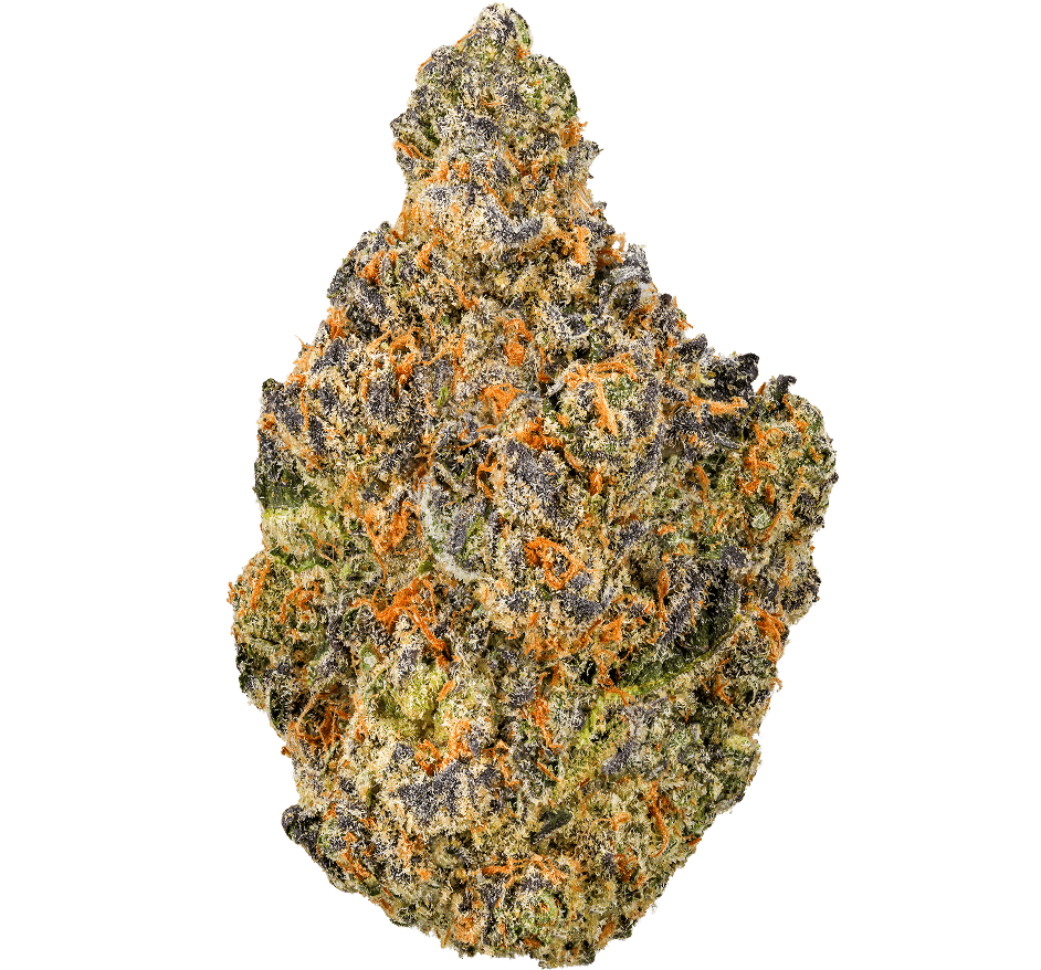 Gary Peyton Strain