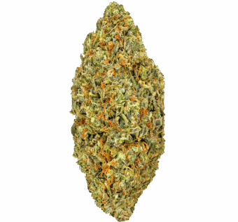 Gelato-41-Strain (8) Gelato 41 Strain