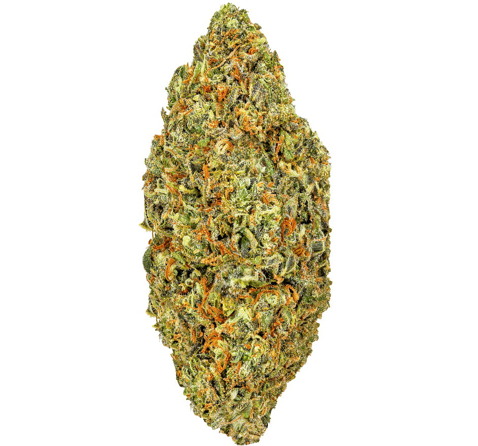 Gelato 41 Strain