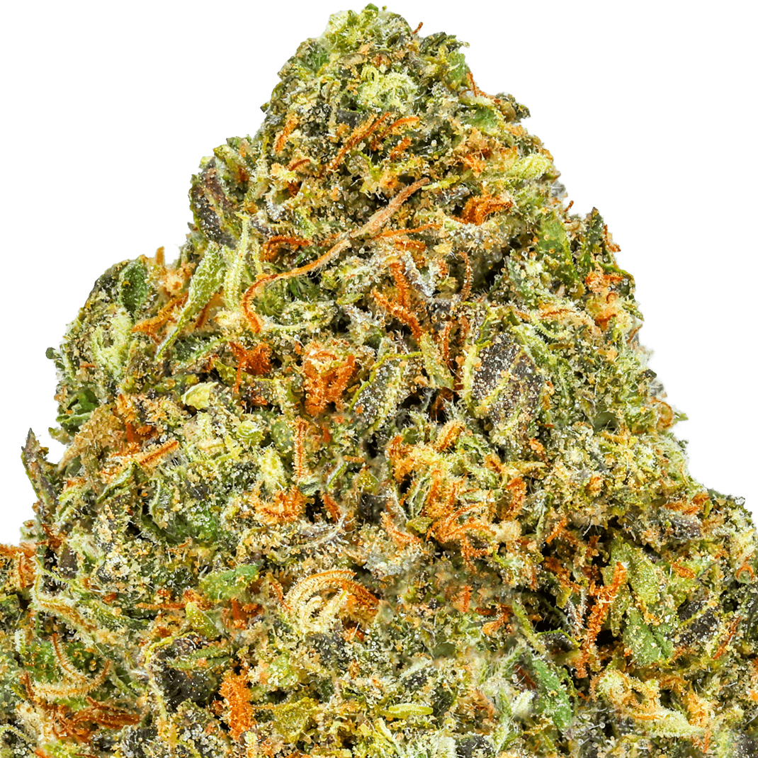 Gelato 41 Strain