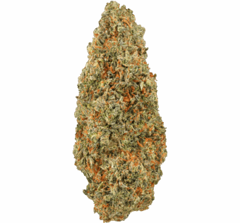 Glitter Bomb Strain