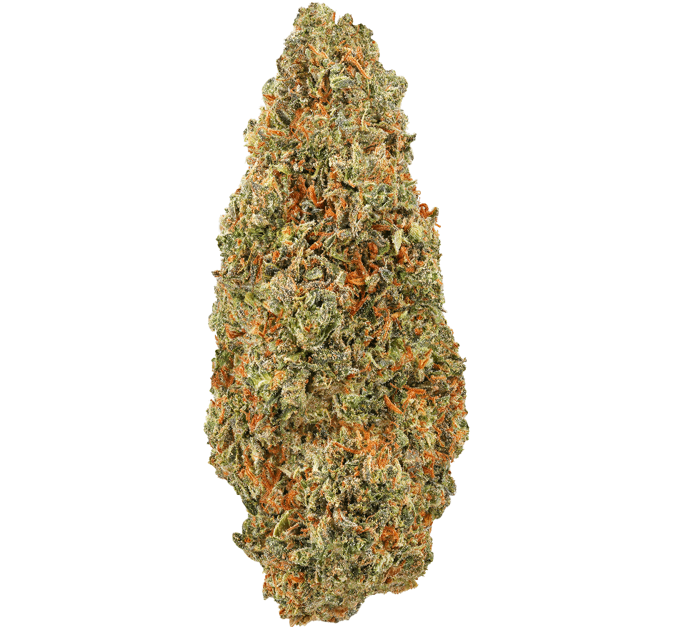 Glitter Bomb Strain