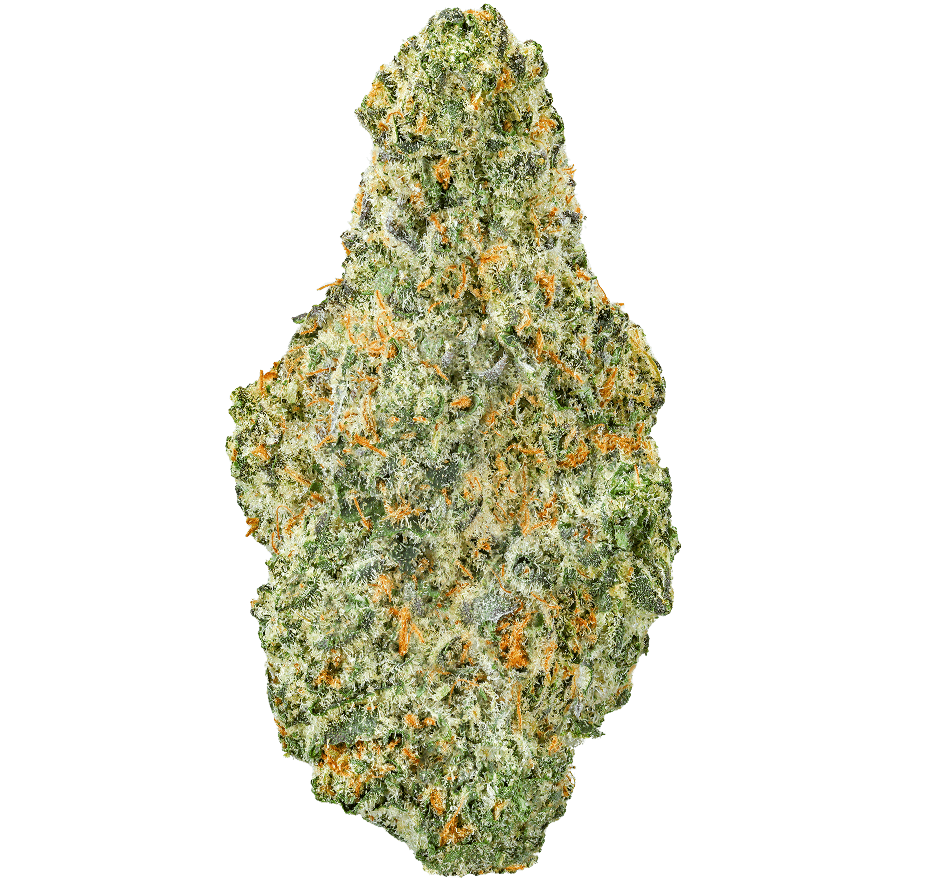 GovernMint Oasis Strain