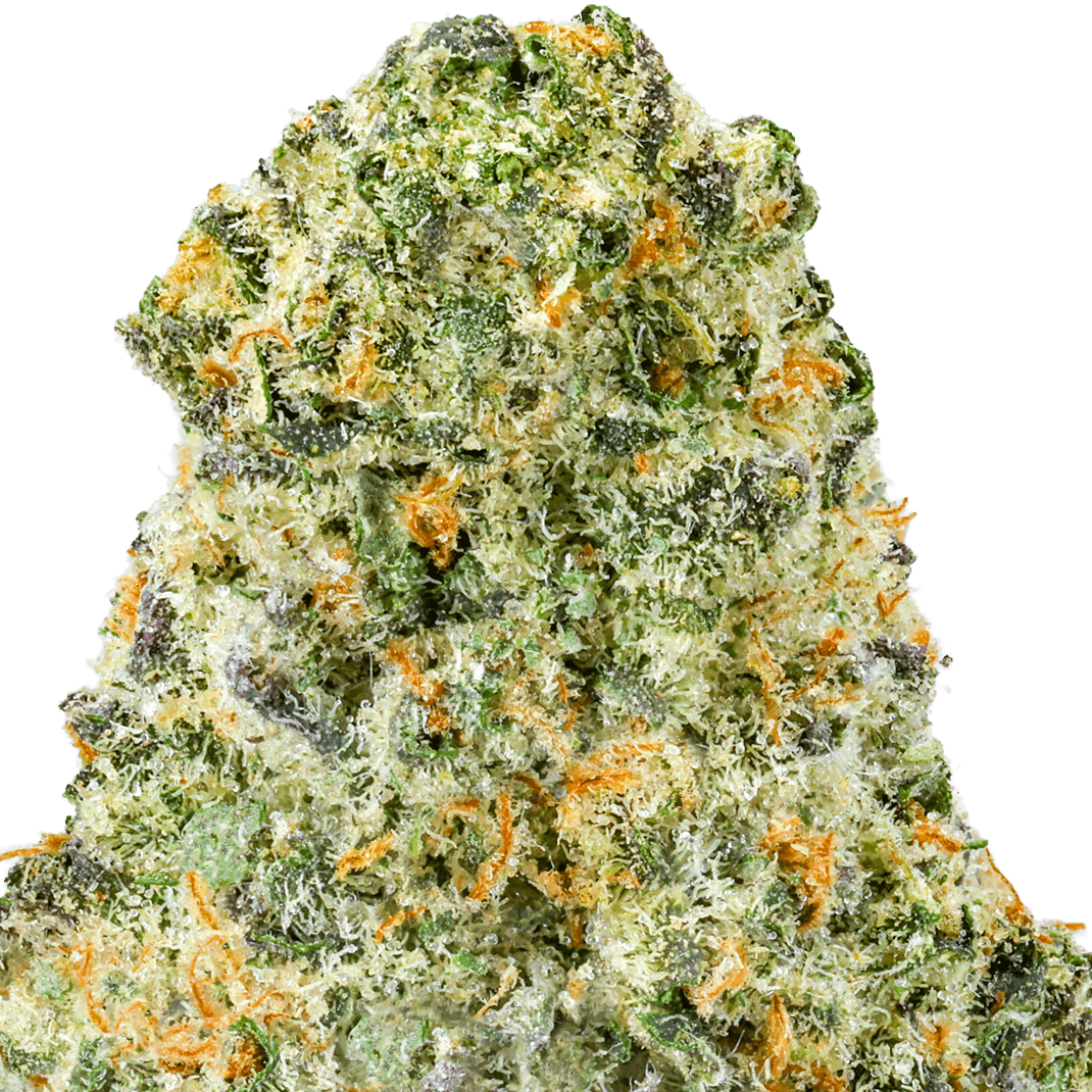 GovernMint Oasis Strain