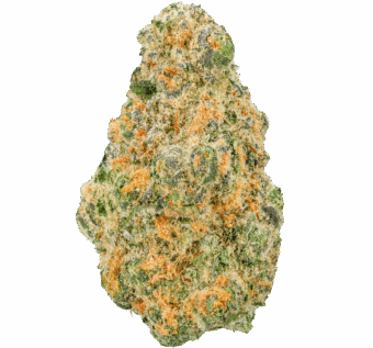Gummie-Bears-Strain (1) Gummy Bears Strain