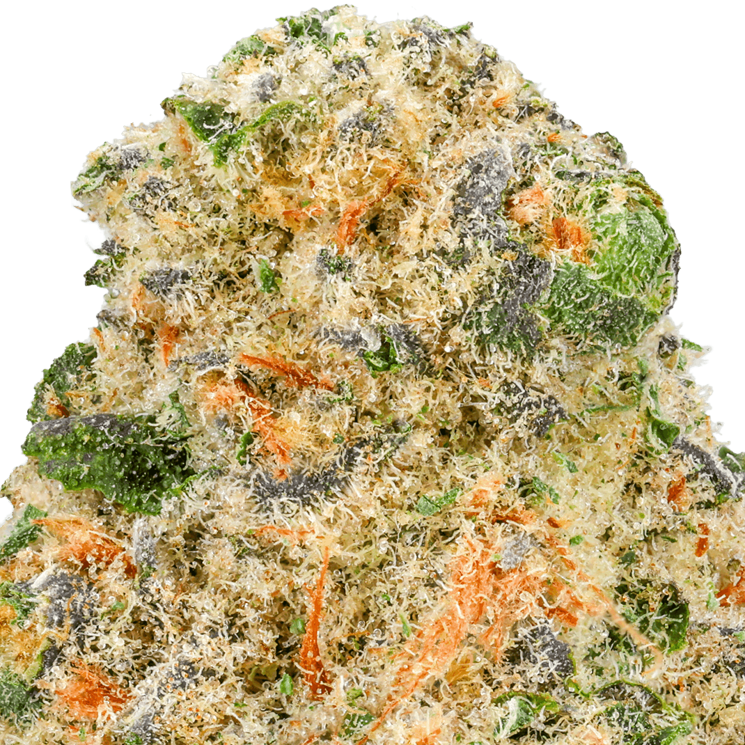 Gummy Bears Strain