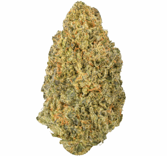 Gush Mintz Strain