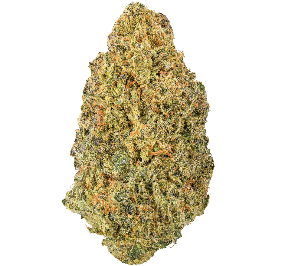 Gush Mintz Strain