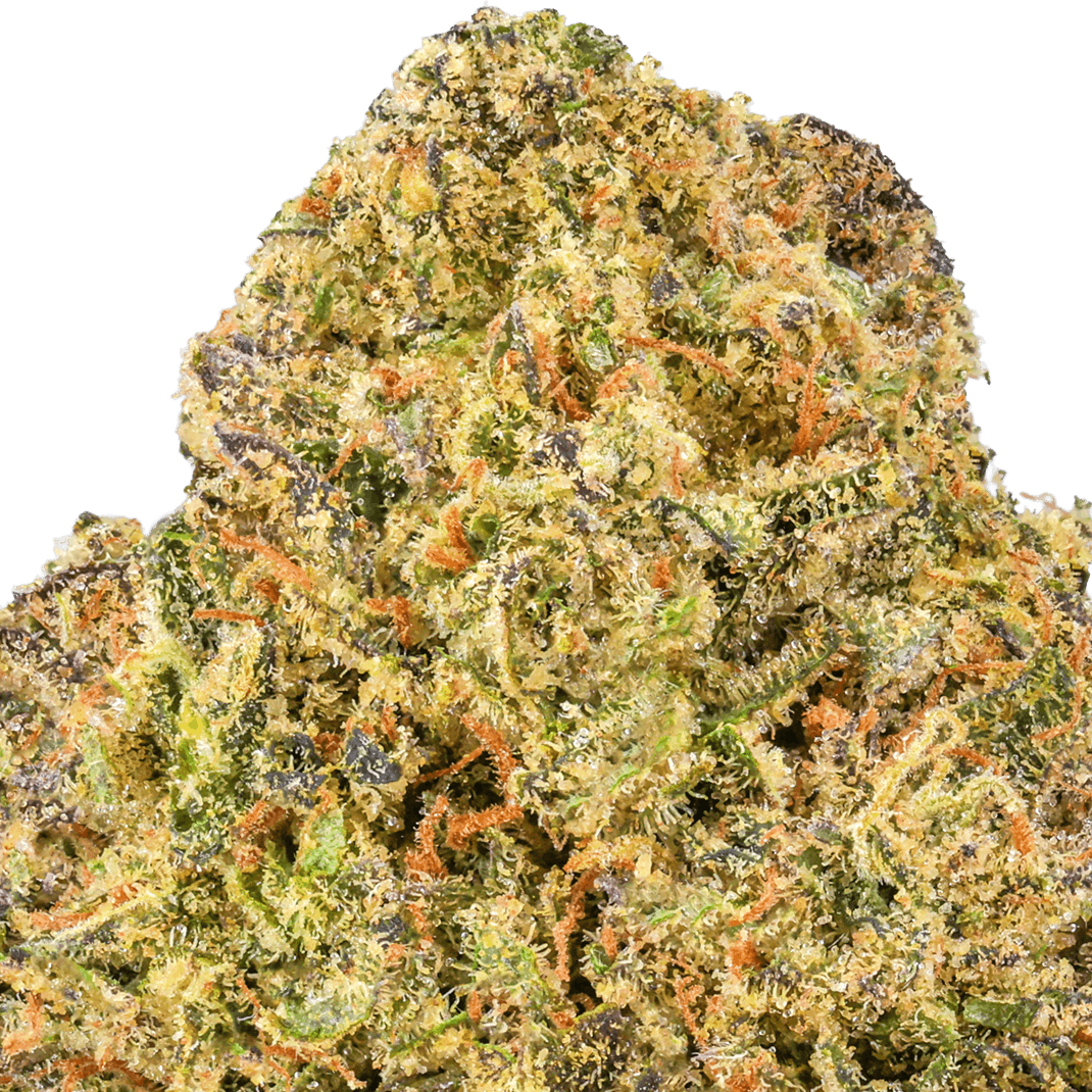 Gush Mintz Strain