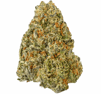 Hash Burger Strain