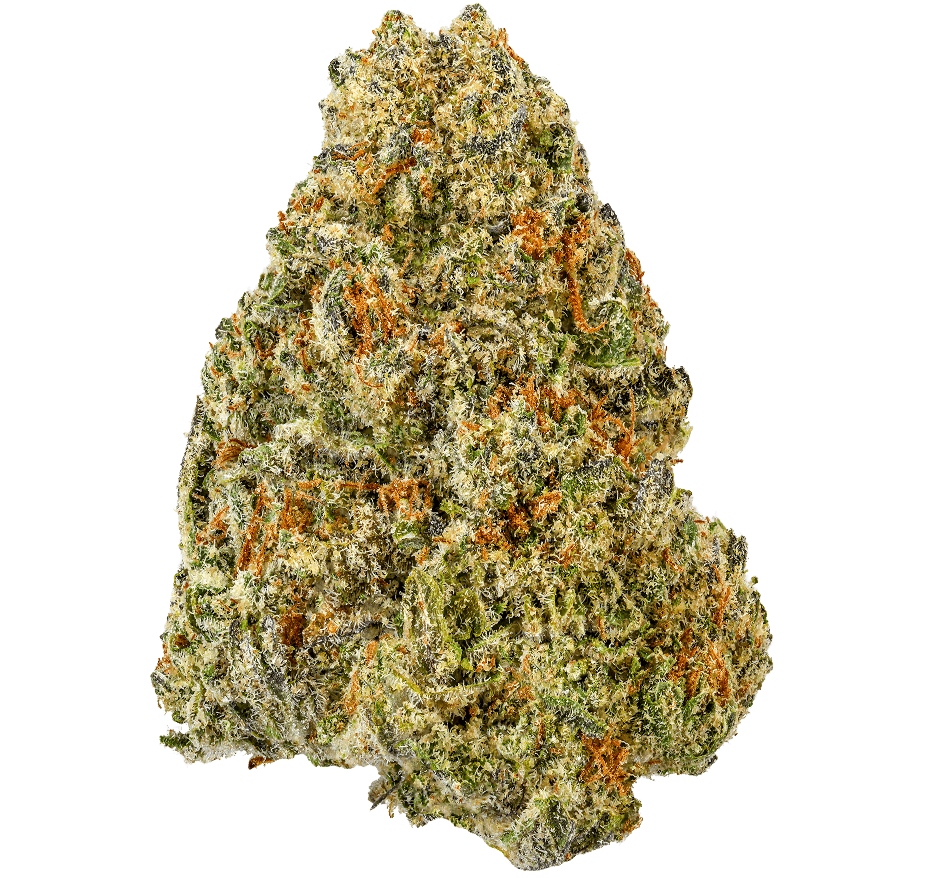 Hash Burger Strain