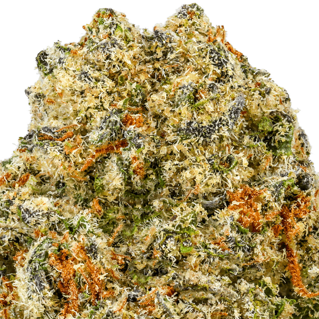 Hash Burger Strain