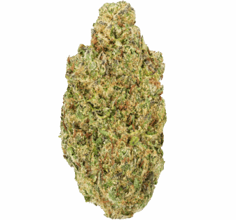 Jokerz Candy Strain