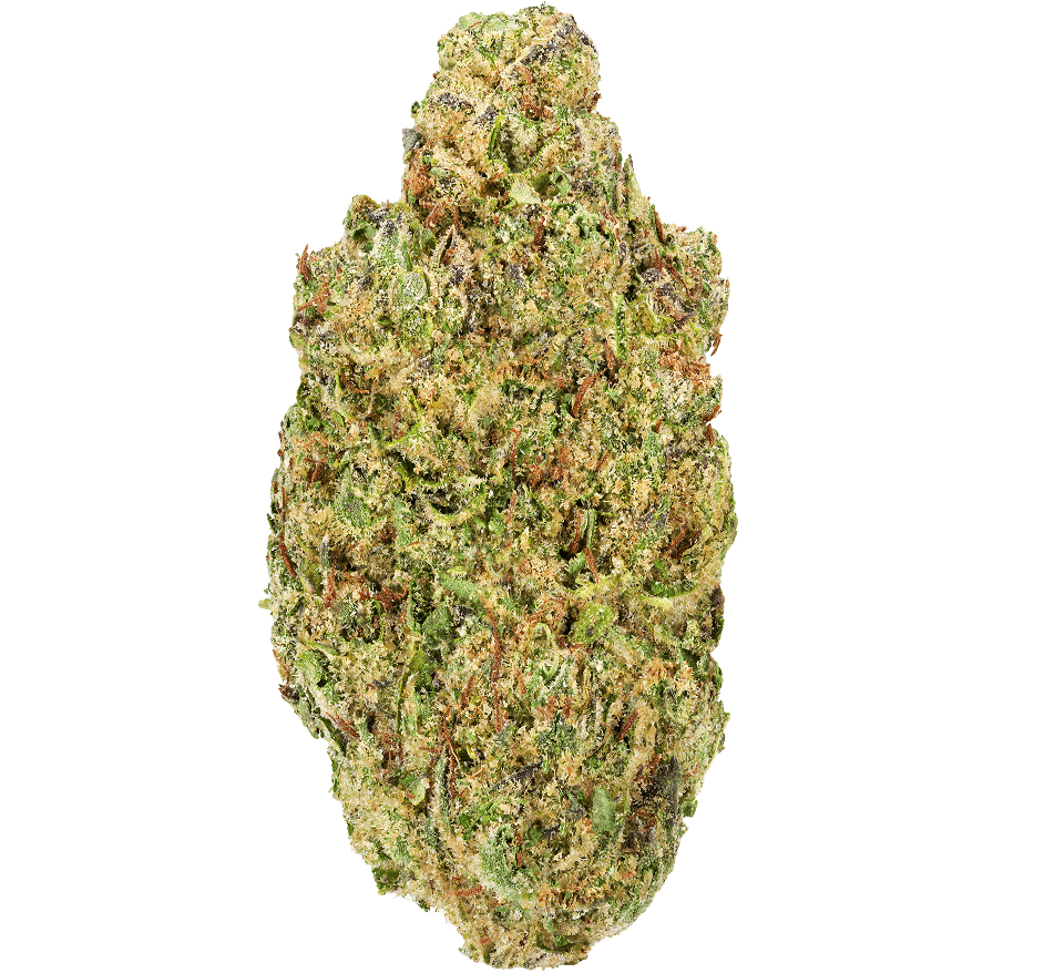 Jokerz Candy Strain