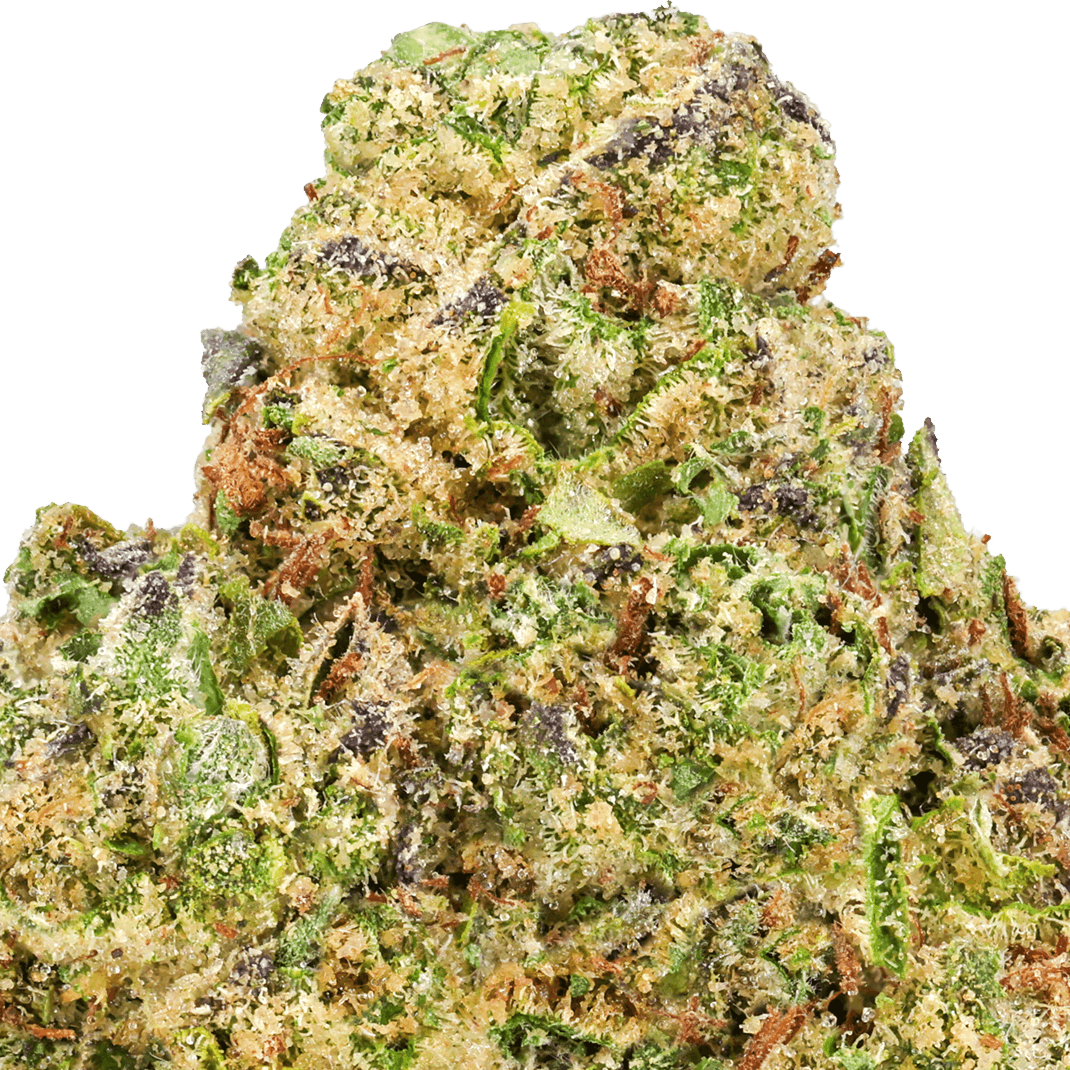 Jokerz Candy Strain