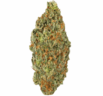 Lemon Cherry Strain