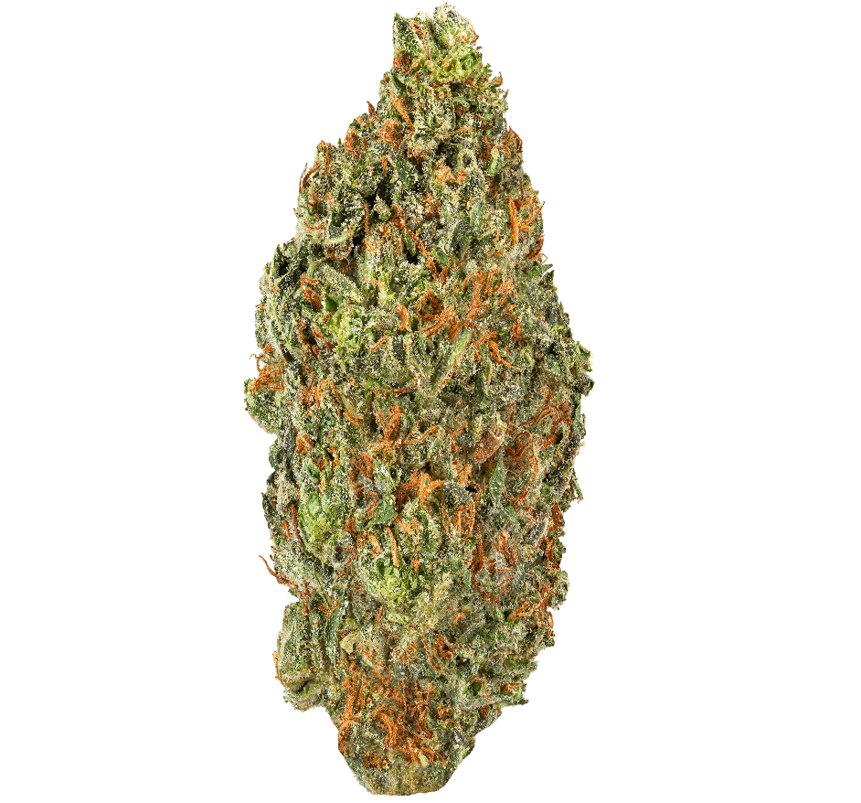 Lemon Cherry Strain