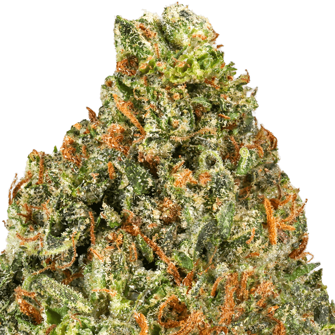Lemon Cherry Strain