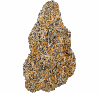 Magic Marker Strain