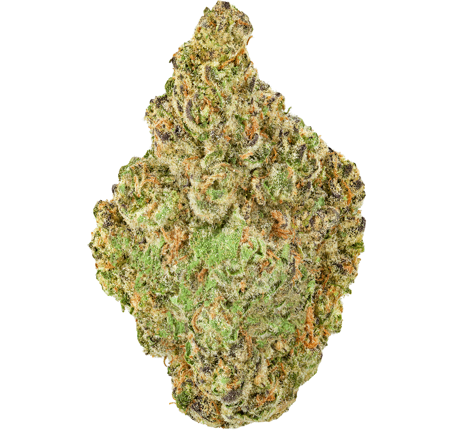 Mango Mintality Strain