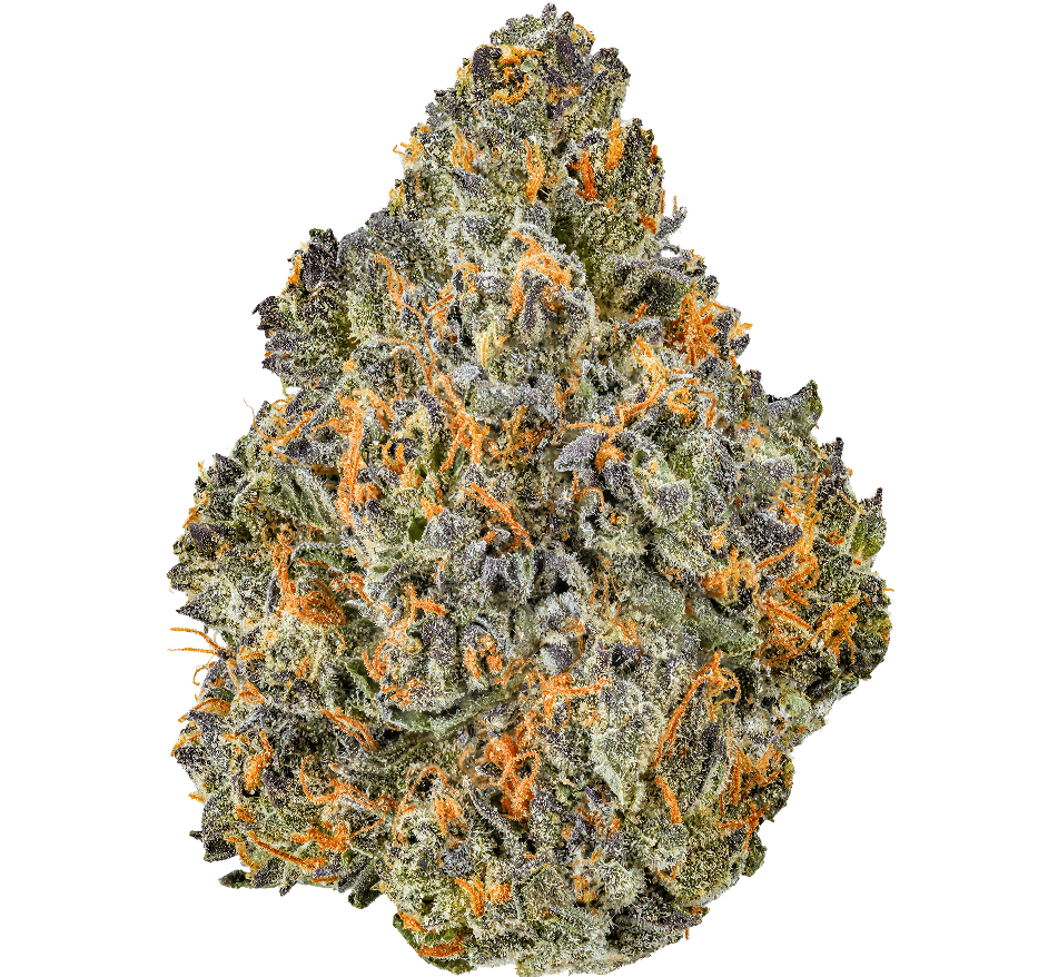 Northern Lights Strain